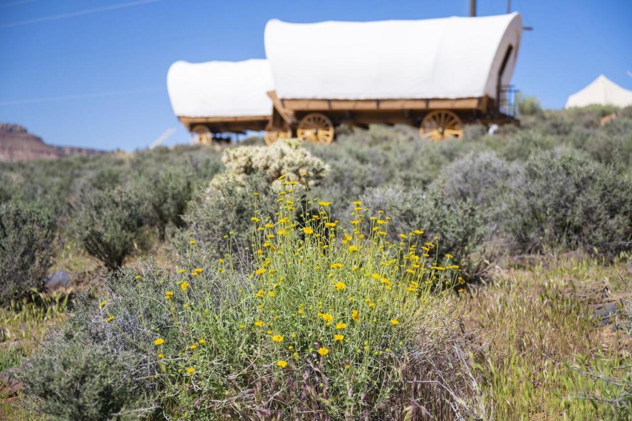 Zion Wildflower Hotel Върджин Екстериор снимка